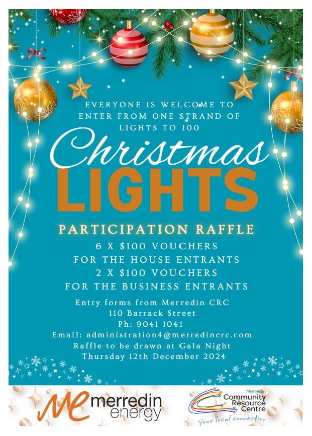 Christmas Lights Raffle